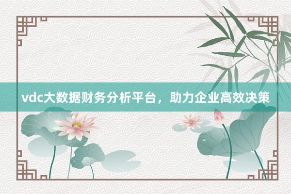 vdc大数据财务分析平台,助力企业高效决策