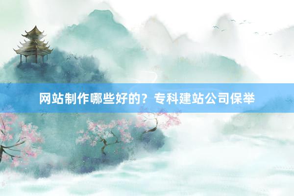 网站制作哪些好的？专科建站公司保举